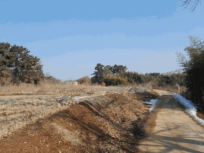 충청남도 당진시 송악읍 복운리 154-155 임야 경매 사진 3