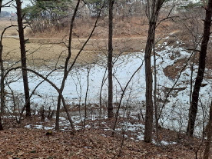 충청남도 당진시 송악읍 복운리 154-155 임야 경매 사진 31