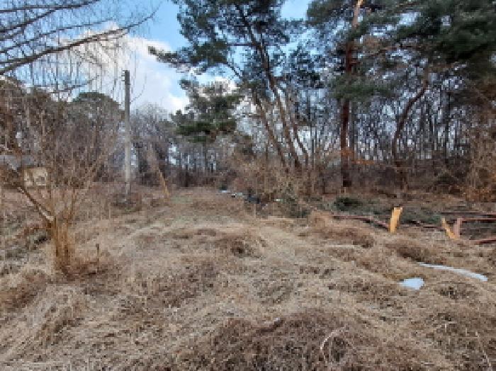 충청남도 당진시 송악읍 복운리 154-155 임야 경매 사진 38