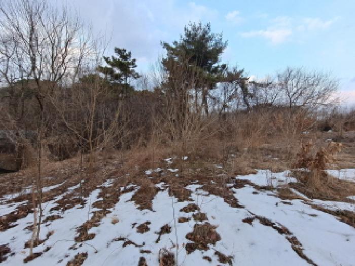 충청남도 당진시 송악읍 복운리 154-155 임야 경매 사진 45