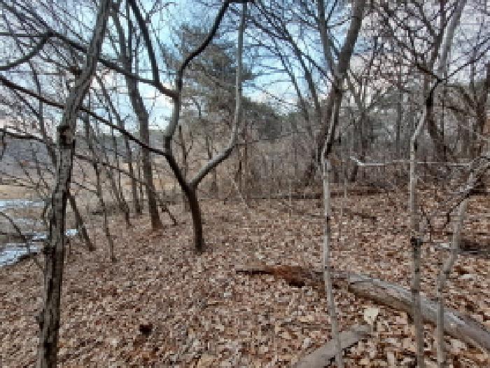 충청남도 당진시 송악읍 복운리 154-155 임야 경매 사진 46