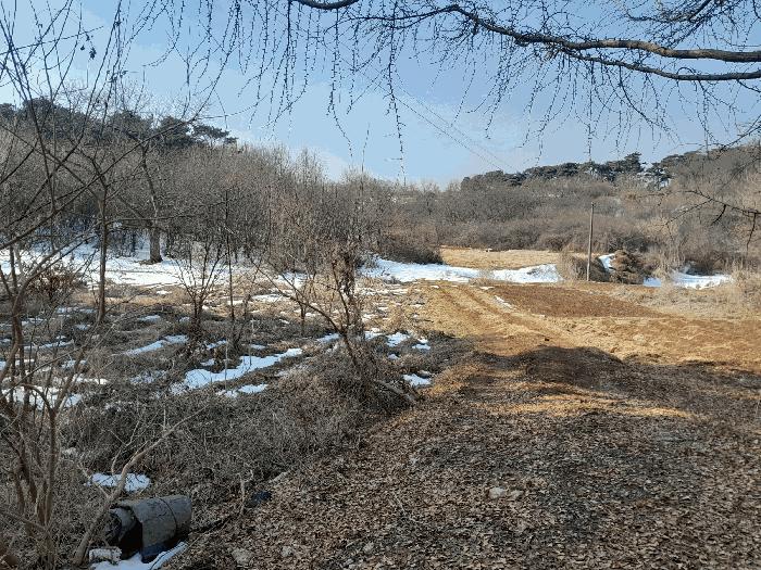 충청남도 당진시 송악읍 복운리 154-155 임야 경매 사진 8