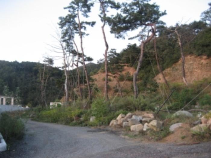 충청북도 청주시 상당구 미원면 종암리 511-5 근린시설 경매 사진 18