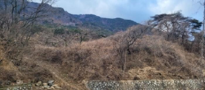 경상북도 청도군 매전면 온막리 433 답 경매 사진 10