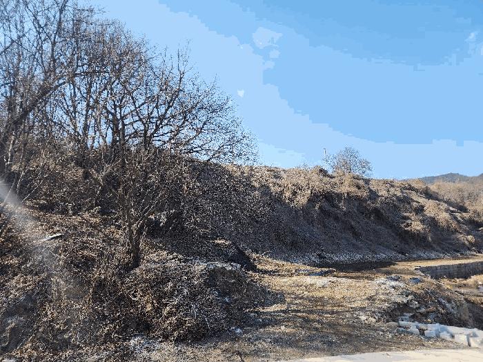 충청북도 괴산군 연풍면 삼풍리 522-3 전 경매 사진 1