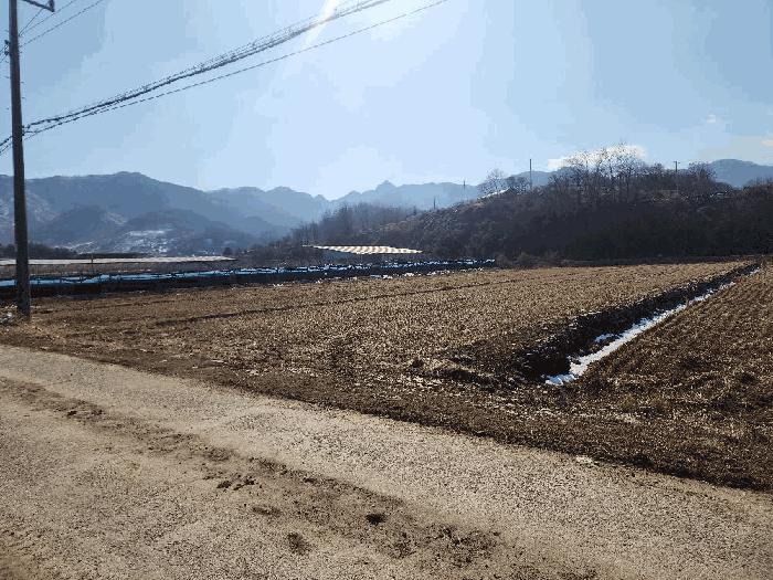 충청북도 괴산군 연풍면 삼풍리 522-3 전 경매 사진 2