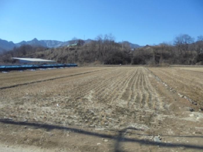 충청북도 괴산군 연풍면 삼풍리 522-3 전 경매 사진 5