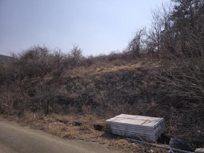 경상북도 영천시 북안면 신리리 산2 임야 경매 사진 1