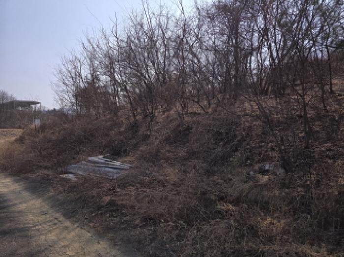 경상북도 영천시 북안면 신리리 산2 임야 경매 사진 2