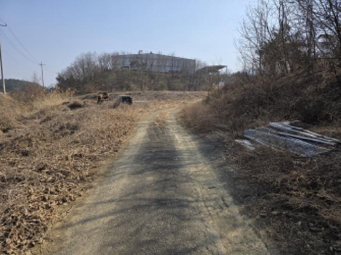 경상북도 영천시 북안면 신리리 산2 임야 경매 사진 3