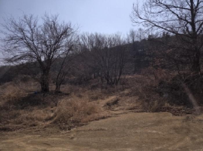 경상북도 영천시 북안면 신리리 산2 임야 경매 사진 5