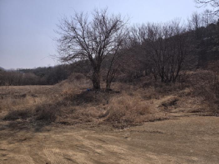 경상북도 영천시 북안면 신리리 산2 임야 경매 사진 7