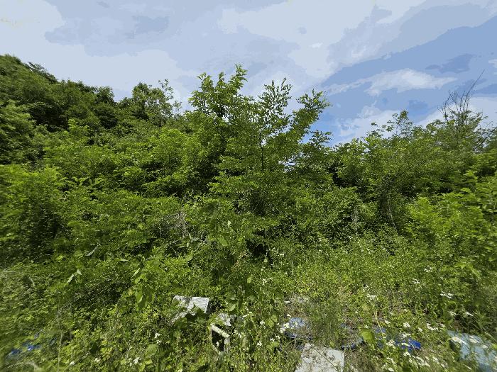 충청북도 괴산군 소수면 고마리 산48-4 임야 경매 사진 1