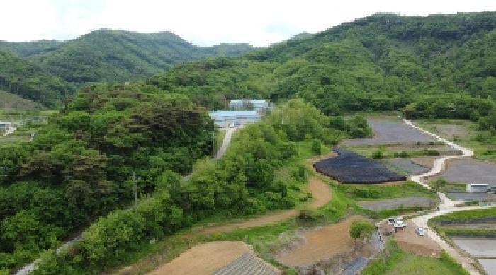 충청북도 괴산군 소수면 고마리 산48-4 임야 경매 사진 10