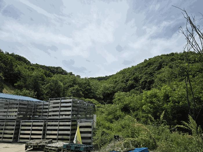 충청북도 괴산군 소수면 고마리 산48-4 임야 경매 사진 5