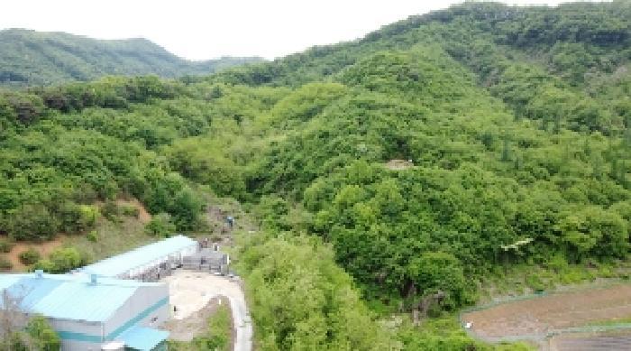 충청북도 괴산군 소수면 고마리 산48-4 임야 경매 사진 8