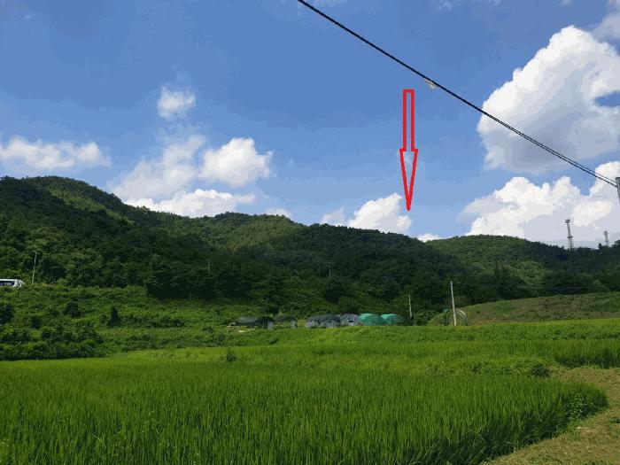 경상북도 구미시 장천면 명곡리 산22 임야 경매 사진 1
