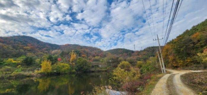 경상북도 구미시 장천면 명곡리 산22 임야 경매 사진 7