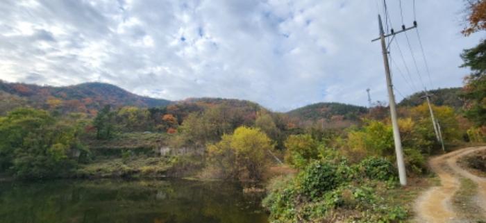 경상북도 구미시 장천면 명곡리 산22 임야 경매 사진 8