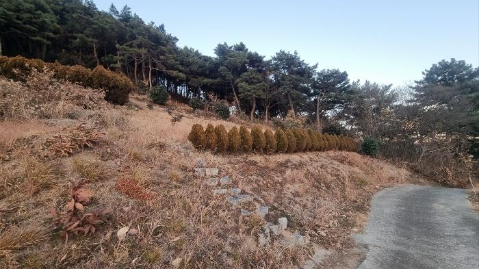 경상남도 김해시 진영읍 본산리 8-301 대지 경매 사진 3