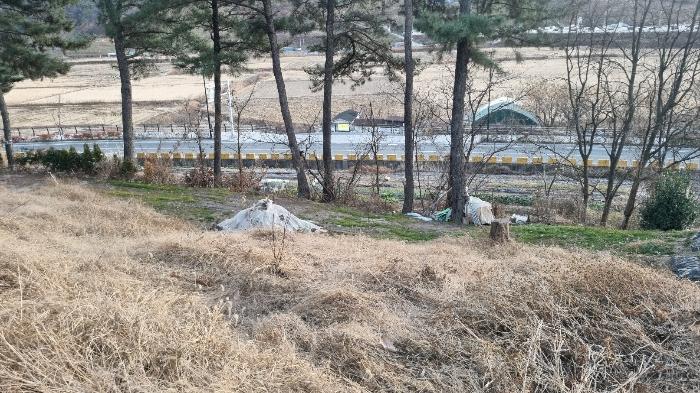 경상남도 김해시 진영읍 본산리 8-301 대지 경매 사진 4