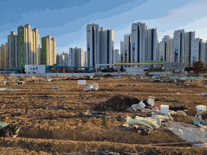 광주광역시 북구 신용동 477-6 답 경매 사진 1