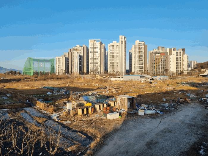 광주광역시 북구 신용동 477-6 답 경매 사진 3