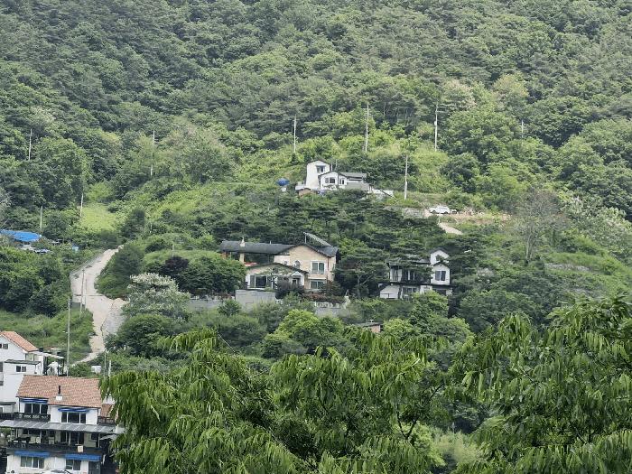 전라남도 화순군 동면 서성리 198-21 전 경매 사진 14