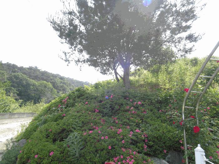 전라남도 화순군 동면 서성리 198-21 전 경매 사진 2