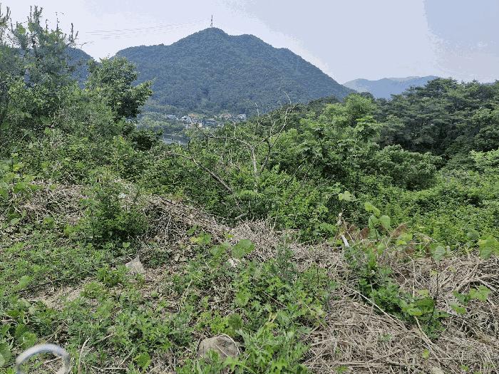 전라남도 화순군 동면 서성리 198-21 전 경매 사진 4