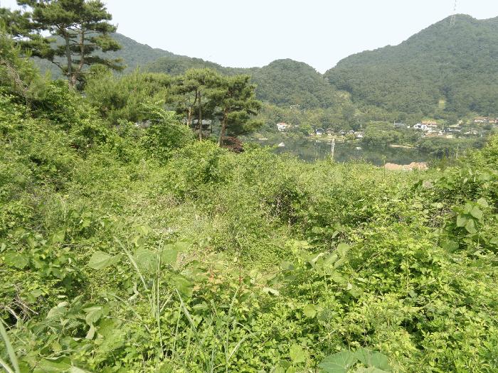 전라남도 화순군 동면 서성리 198-21 전 경매 사진 9