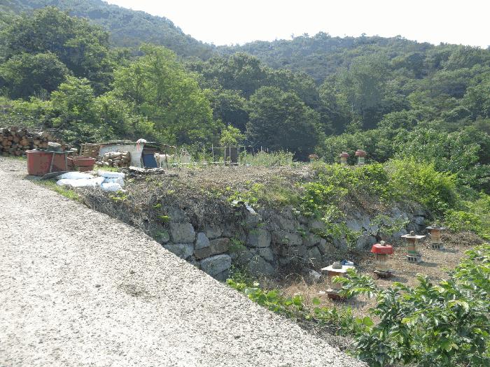 전라남도 화순군 동면 서성리 198-27 전 경매 사진 5