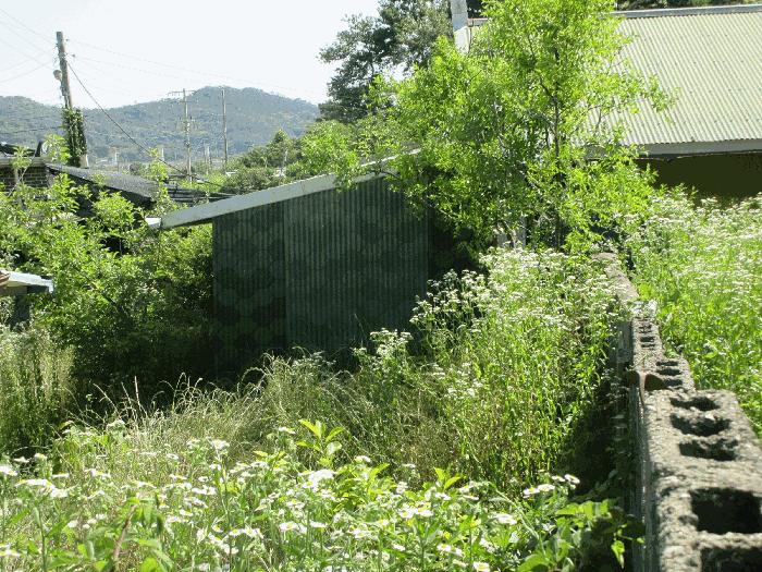 전라남도 나주시 문평면 산호리 927 대지 경매 사진 2