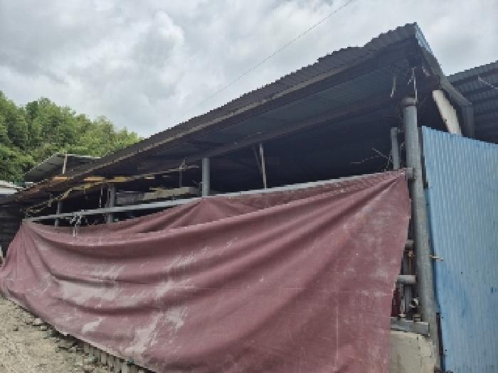 전라남도 나주시 문평면 산호리 927 대지 경매 사진 20
