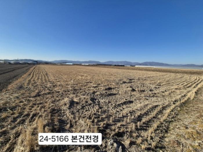 부산광역시 강서구 식만동 492 답 경매 사진 3