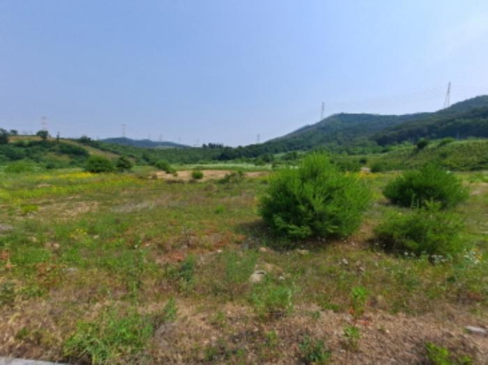 충청남도 서산시 운산면 고산리 423-21 임야 경매 사진 12