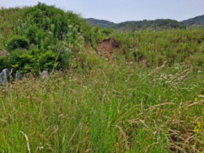 충청남도 서산시 운산면 고산리 423-21 임야 경매 사진 13