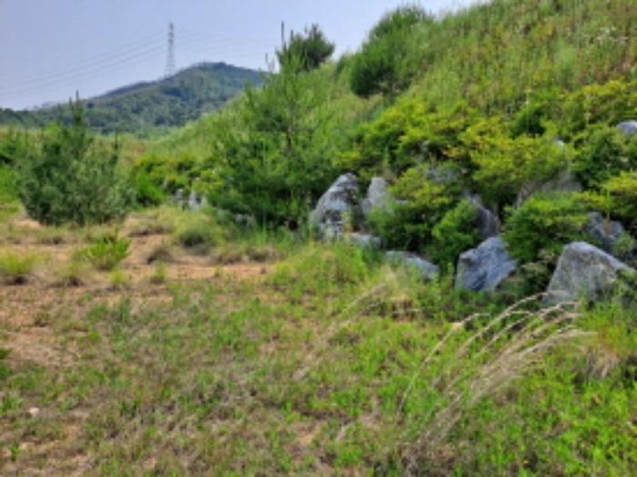 충청남도 서산시 운산면 고산리 423-21 임야 경매 사진 14