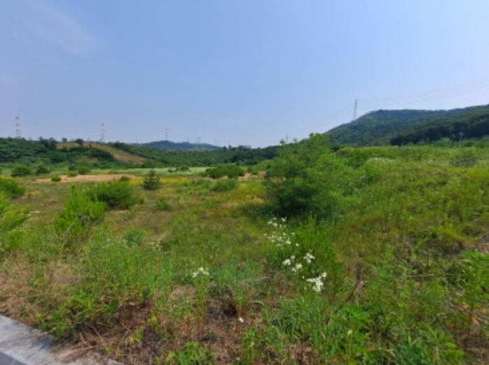 충청남도 서산시 운산면 고산리 423-21 임야 경매 사진 22
