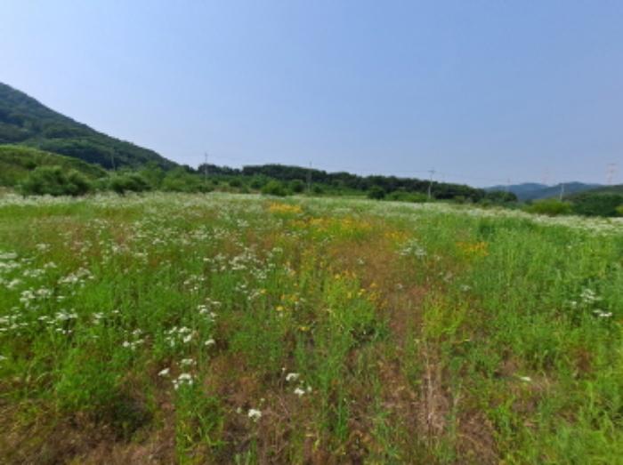충청남도 서산시 운산면 고산리 423-21 임야 경매 사진 23