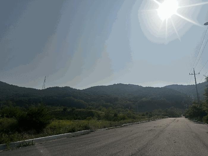 충청남도 서산시 운산면 고산리 423-21 임야 경매 사진 3