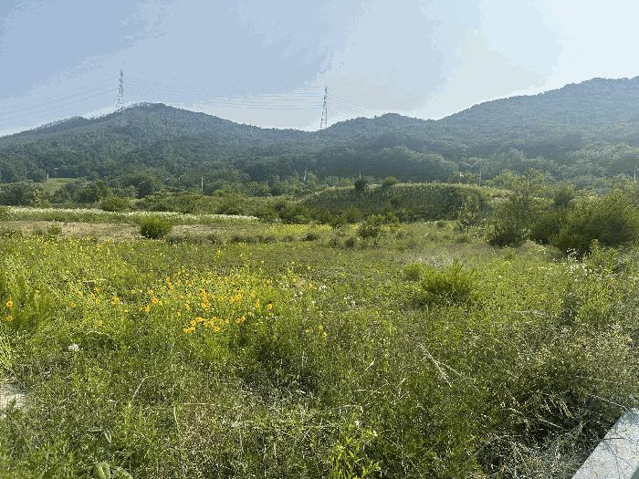 충청남도 서산시 운산면 고산리 423-21 임야 경매 사진 6