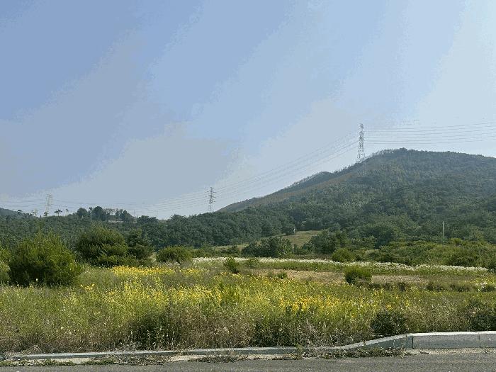 충청남도 서산시 운산면 고산리 423-21 임야 경매 사진 8