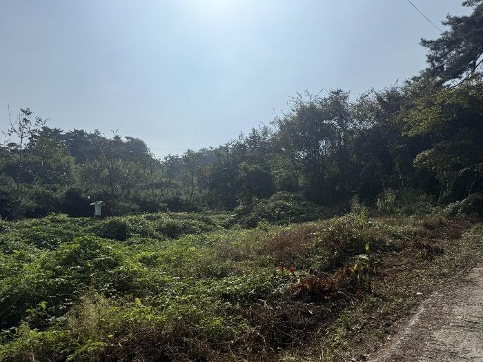 충청남도 서산시 팔봉면 금학리 388 전 경매 사진 15