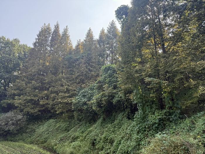 충청남도 서산시 팔봉면 금학리 388 전 경매 사진 16