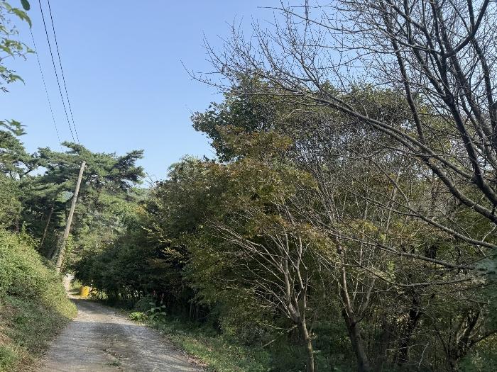 충청남도 서산시 팔봉면 금학리 388 전 경매 사진 2