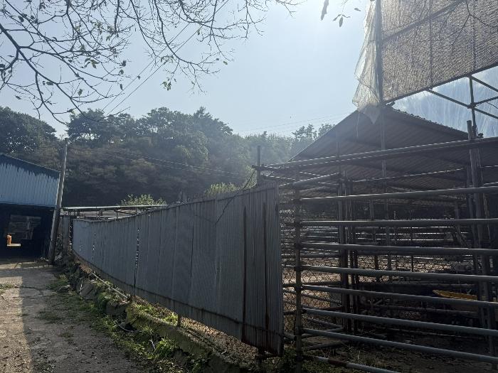 충청남도 서산시 팔봉면 금학리 388 전 경매 사진 21