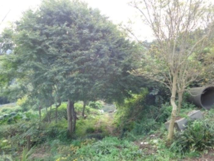 충청남도 서산시 팔봉면 금학리 388 전 경매 사진 32