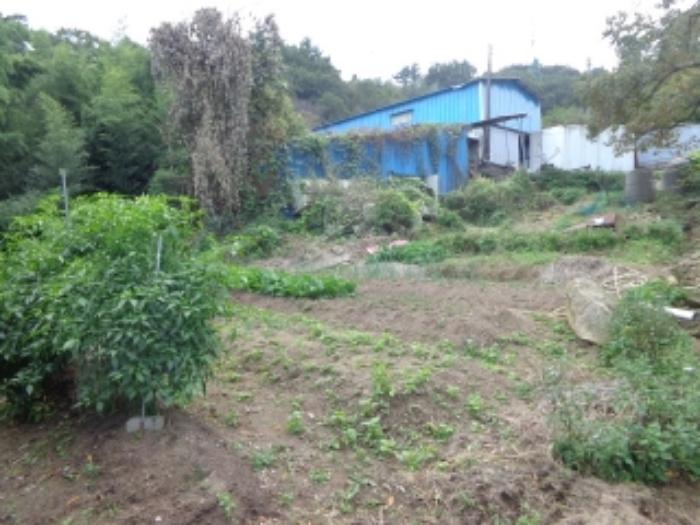 충청남도 서산시 팔봉면 금학리 388 전 경매 사진 35