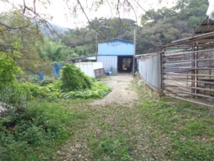 충청남도 서산시 팔봉면 금학리 388 전 경매 사진 39